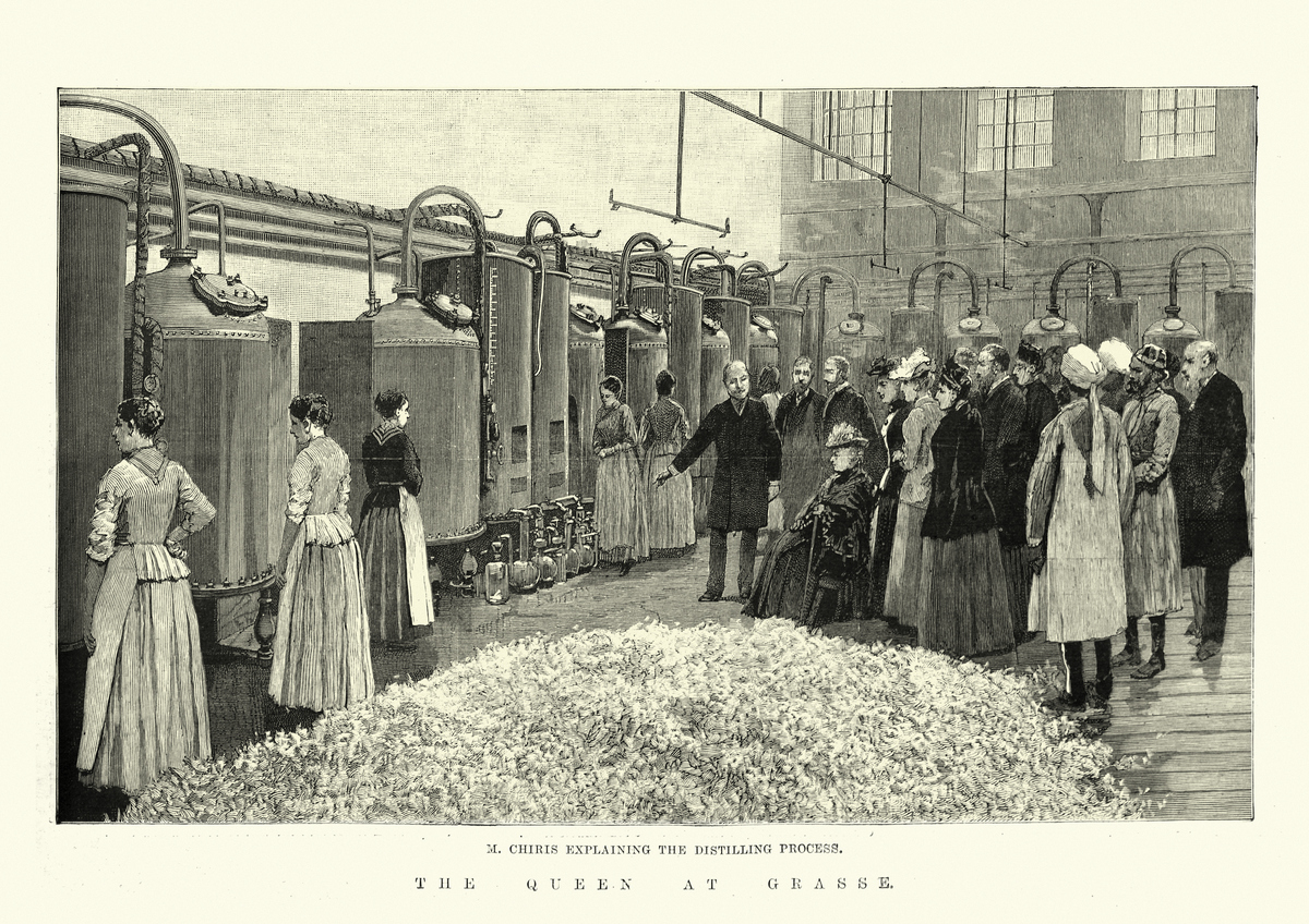 Königin Victoria zeigt den Destillationsprozess in Chiris Parfümfabrik in Grasse, 1890er Jahre, 19. Jahrhundert