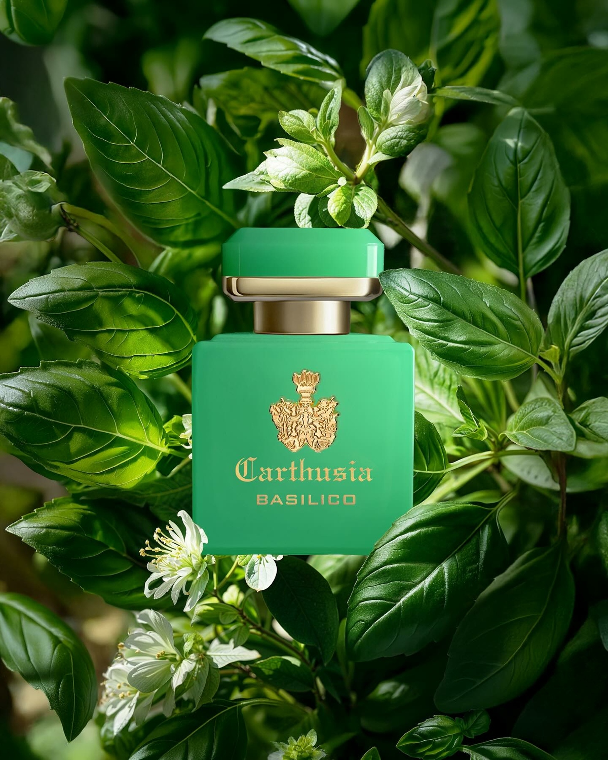 Intenso di Basilico - Carthusia