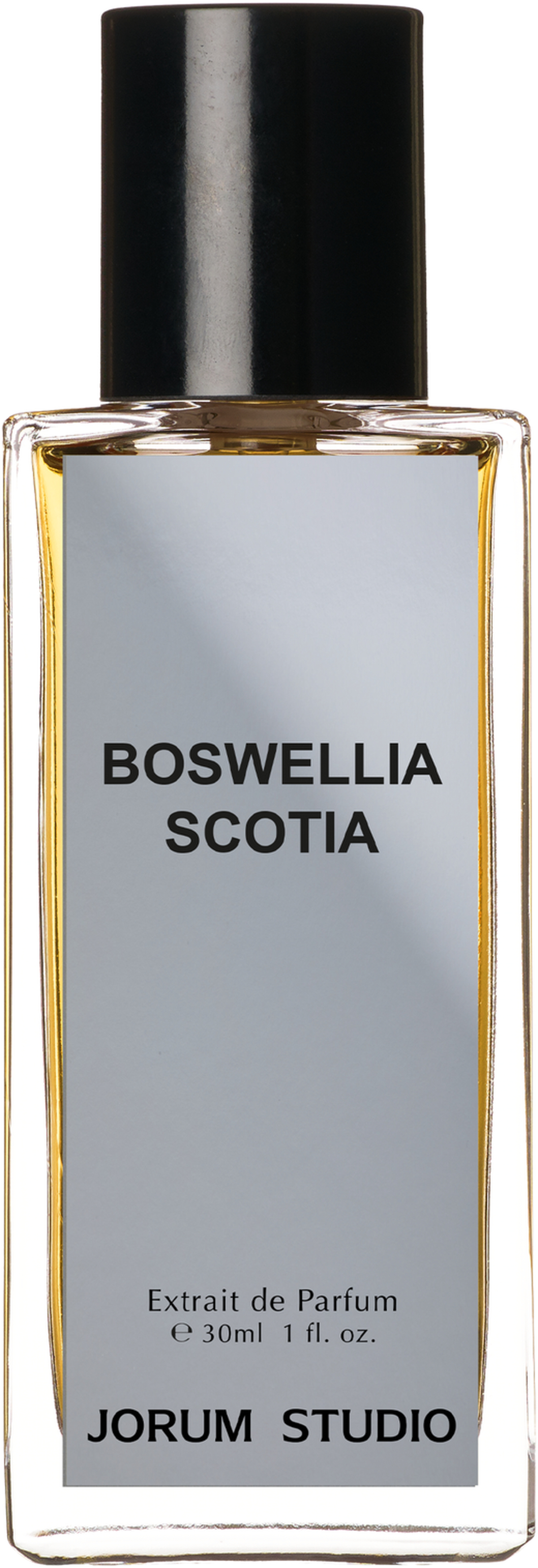 Boswellia Scotia - Jorum Studio