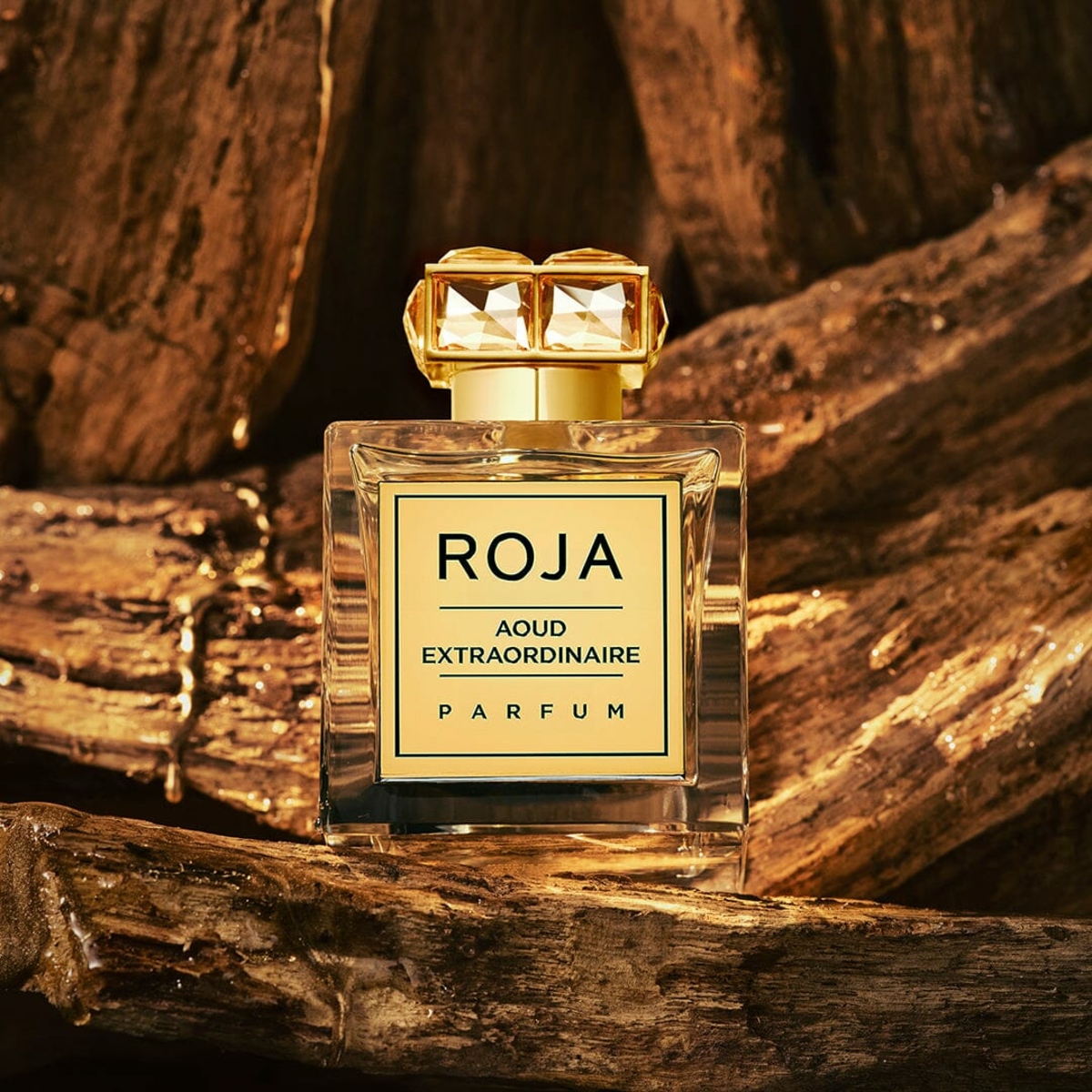 Aoud Extraordinaire - Roja Parfums