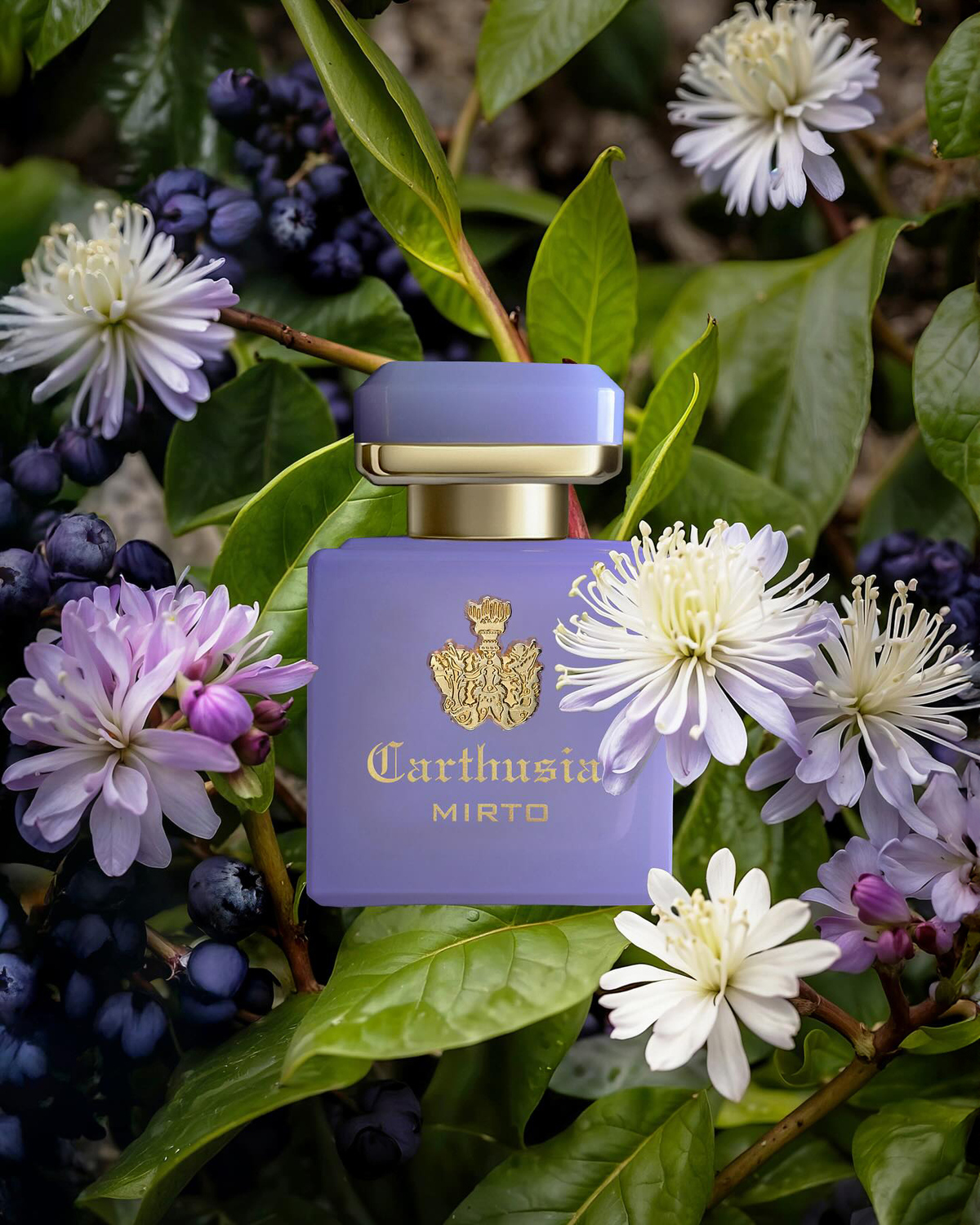 Intenso di Mirto - Carthusia