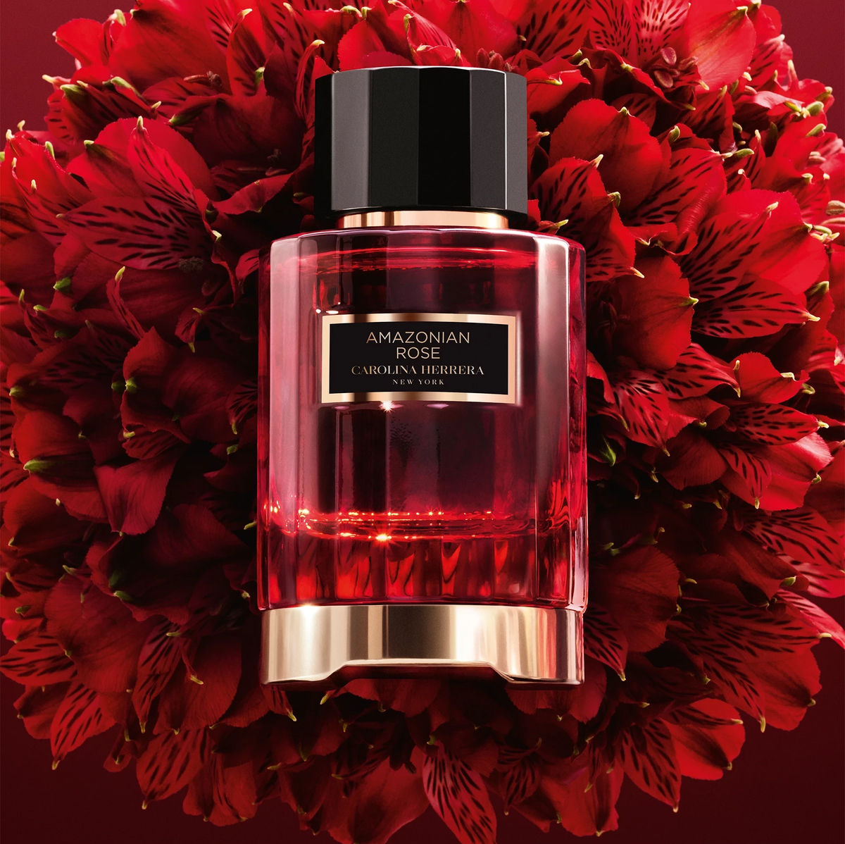 Amazonian Rose - Carolina Herrera