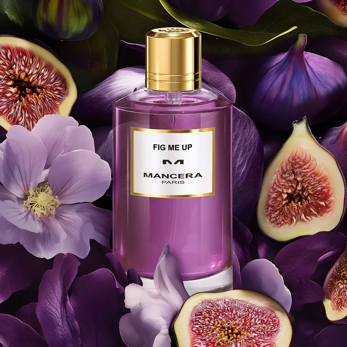 Fig Me Up - Mancera