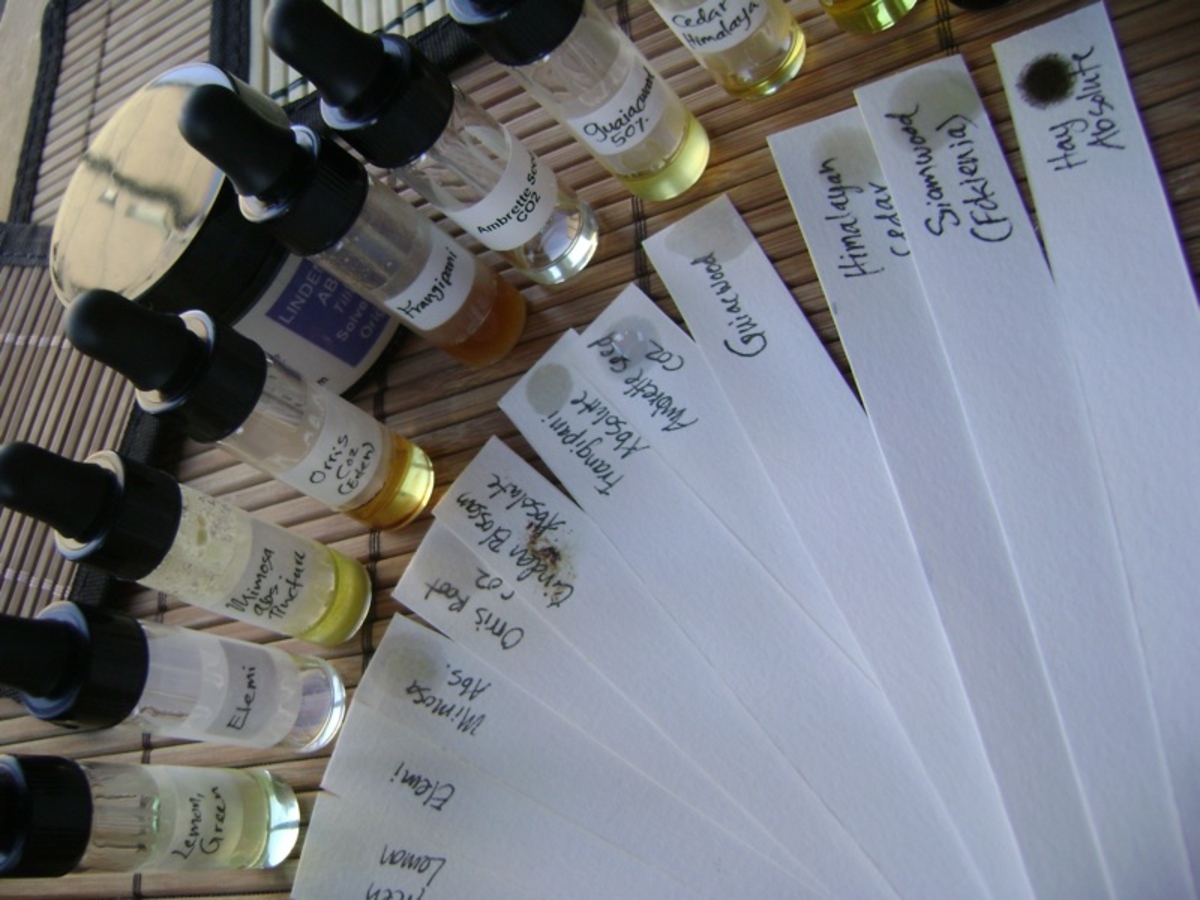 The heart of the perfumer's art: fragrance essences on blotter strips