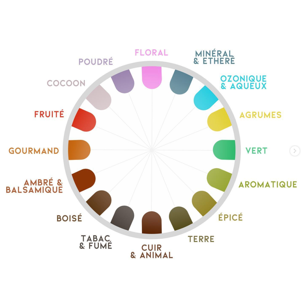 The 'carousel of scents' - an interactive tool with over 150 fragrance materials organised into 16 olfactory families 